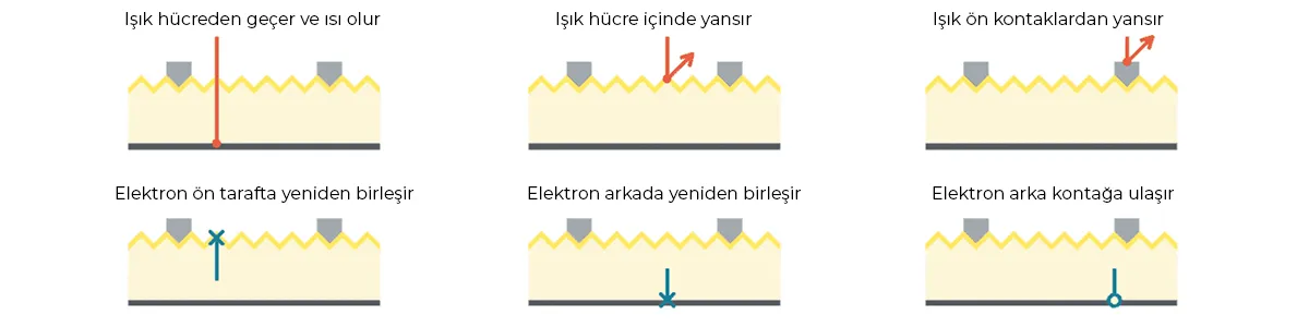 PERC Güneş Panelleri